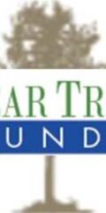 Pear Tree Funds